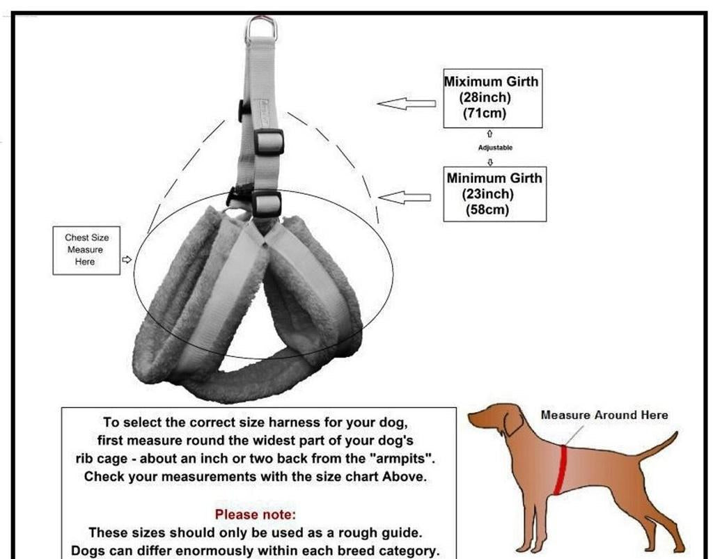 Dog Harness, Collar and Leash Set