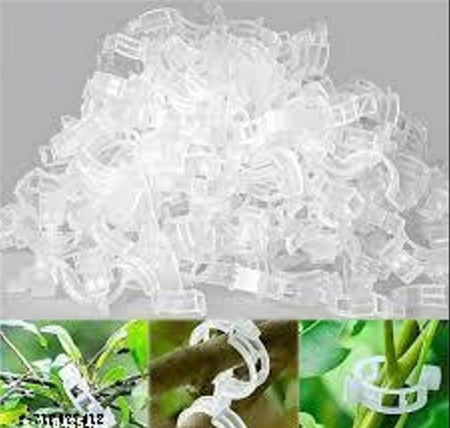 Plant Support Clips (Pack of 25)